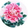Suzhou Embroidery Kit 100% Silk Thread Classical Chinese