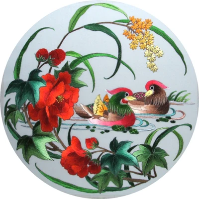 Suzhou Embroidery Kit 100% Silk Thread Classical Chinese
