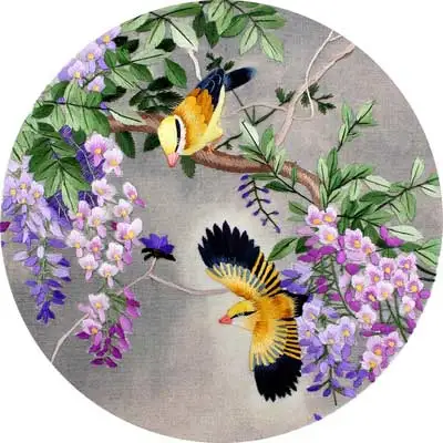 Suzhou Embroidery Kit 100% Silk Thread Classical Chinese