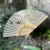 fan-swallow